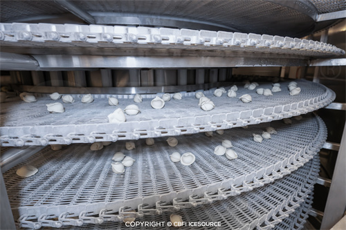 Nghiên cứu điển hình: Dây chuyền sản xuất bánh bao đông lạnh nhanh công suất 1 tấn/giờ tại Orsk, Nga