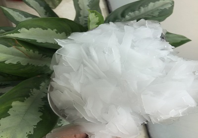 Máy làm đá vảy CBFI: Đáng tin cậy và hiệu quả cho sản xuất quy mô lớn